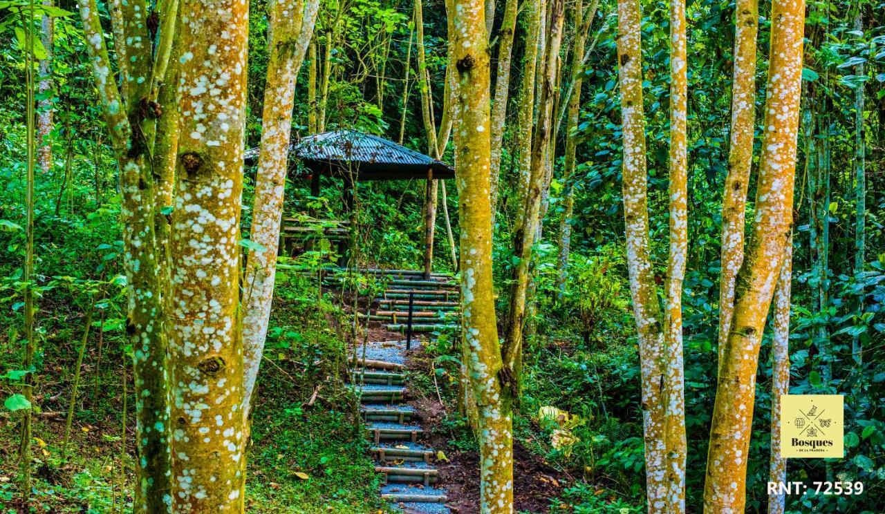 Bosques De La Pradera Hotell La Linda Exteriör bild