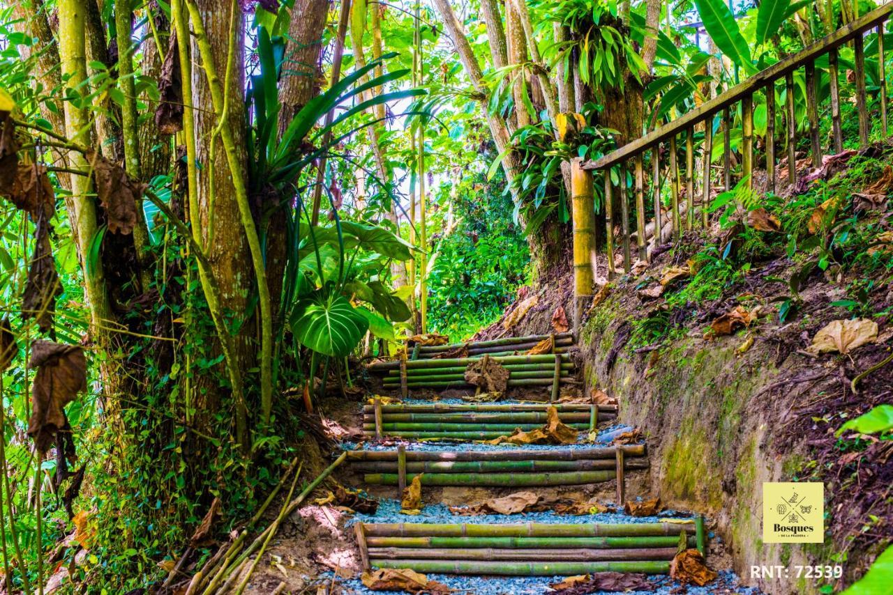 Bosques De La Pradera Hotell Manizales Exteriör bild